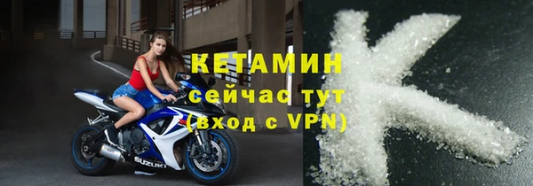 шишки Лабытнанги