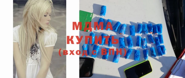 шишки Лабытнанги