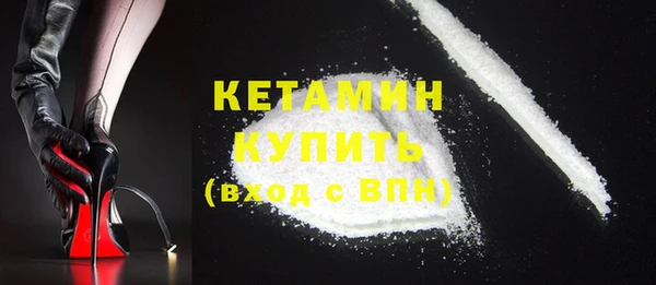 шишки Лабытнанги
