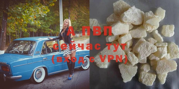 шишки Лабытнанги