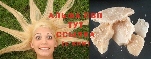 шишки Лабытнанги