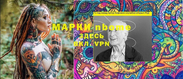 шишки Лабытнанги