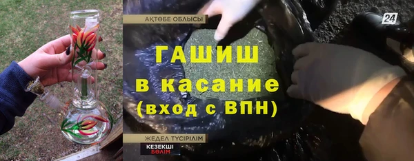 шишки Лабытнанги