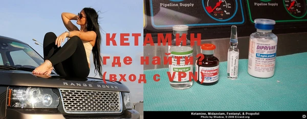 шишки Лабытнанги