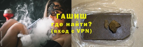 шишки Лабытнанги