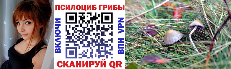 купить закладку  Норильск  Галлюциногенные грибы GOLDEN TEACHER 