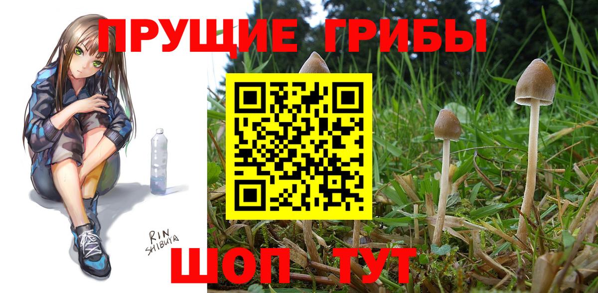 Галлюциногенные грибы Magic Shrooms  Норильск  Галлюциногенные грибы прущие грибы 